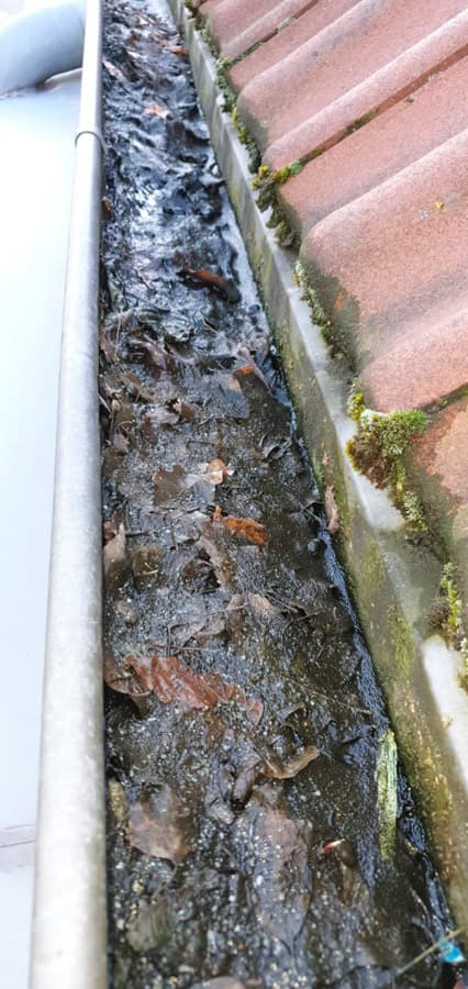 Dachrinnenreinigung im Einsatz an einem Hamburger Haus